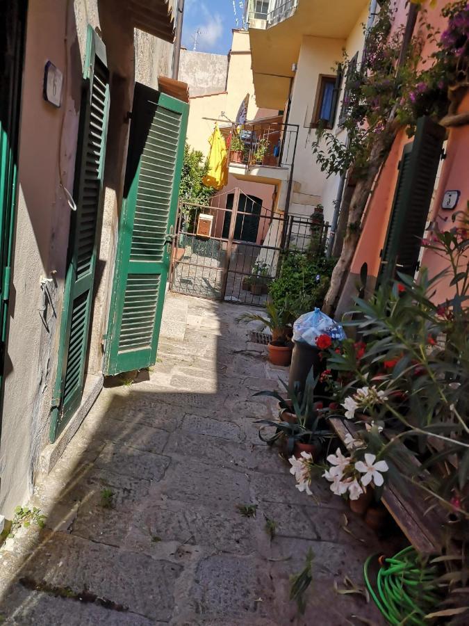 Moonlight Apartament San Piero in Campo  외부 사진